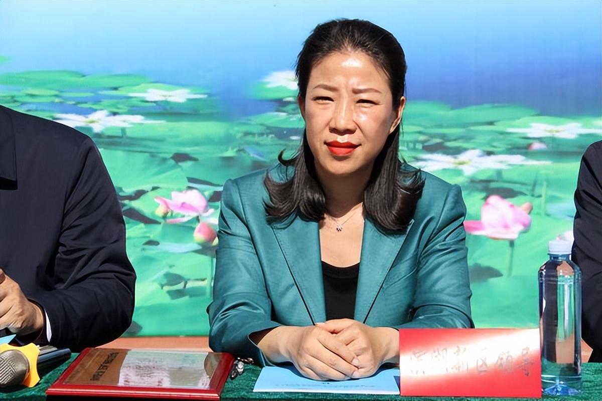 衡水，历史与现代交融的魅力之都