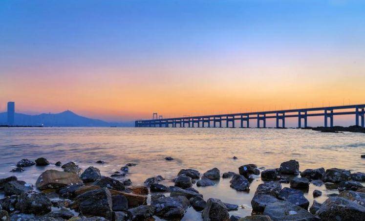 大连盛会,嘉宾云集,观众热情如火