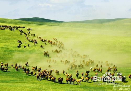 呼伦贝尔，草原文化瑰宝与生态旅游胜地